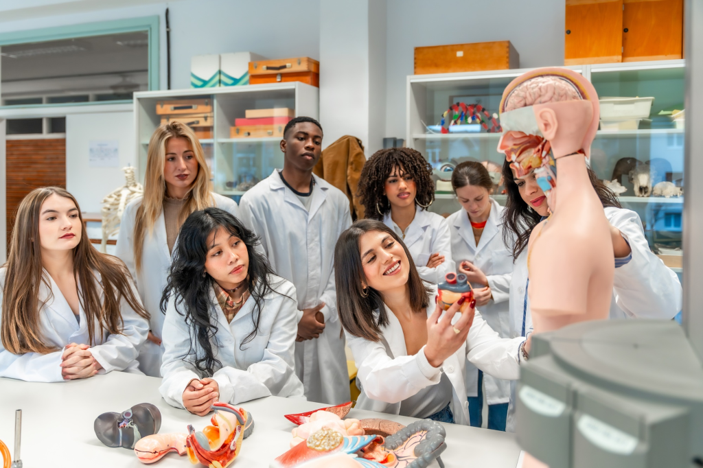SACC students in a healthcare training lab learning anatomy with models to prepare for future medical careers